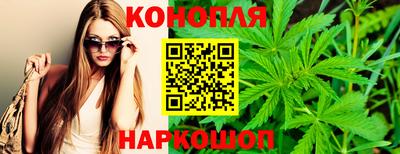 молекула духа Славянск-на-Кубани