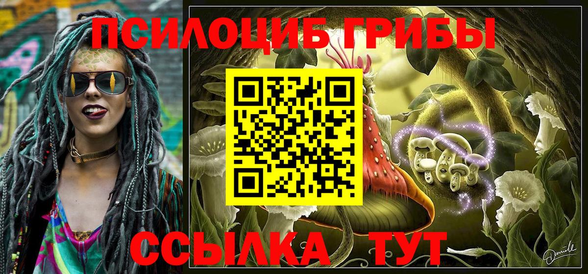 купить наркотики сайты  Псилоцибиновые грибы MAGIC MUSHROOMS  Вход с VPN  Петрозаводск 