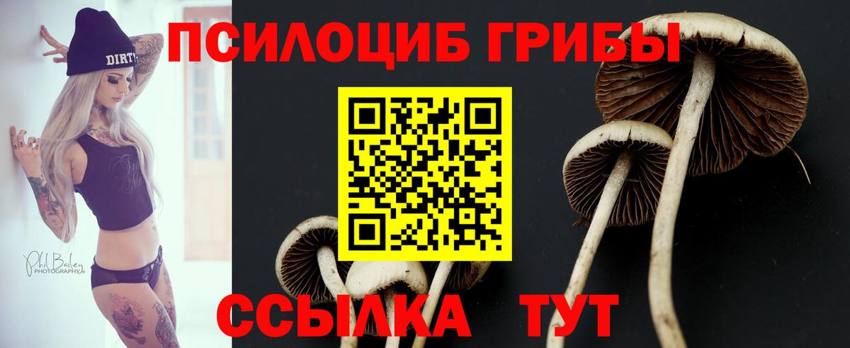 Псилоцибиновые грибы MAGIC MUSHROOMS Петрозаводск