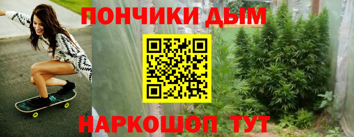 Петрозаводск  Канабис VHQ  Марихуана планчик  Вход с VPN 